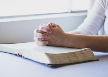 prayer, bible, christian, folded hands, religion, god, book, faith, christianity, religious, holy, praying, spiritual, reading, person, believe, hope, hand, prayer, prayer, prayer, prayer, prayer, bible, bible, bible, christian, god, faith