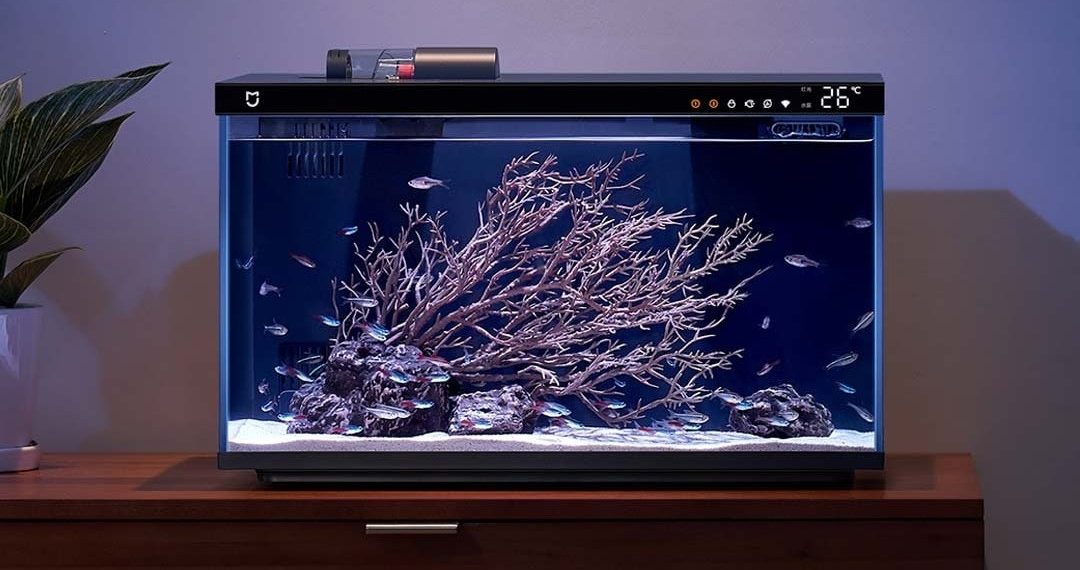 Аквариум Xiaomi: умные технологии для ухода за рыбками
