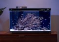 Аквариум Xiaomi: умные технологии для ухода за рыбками