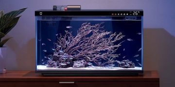 Аквариум Xiaomi: умные технологии для ухода за рыбками