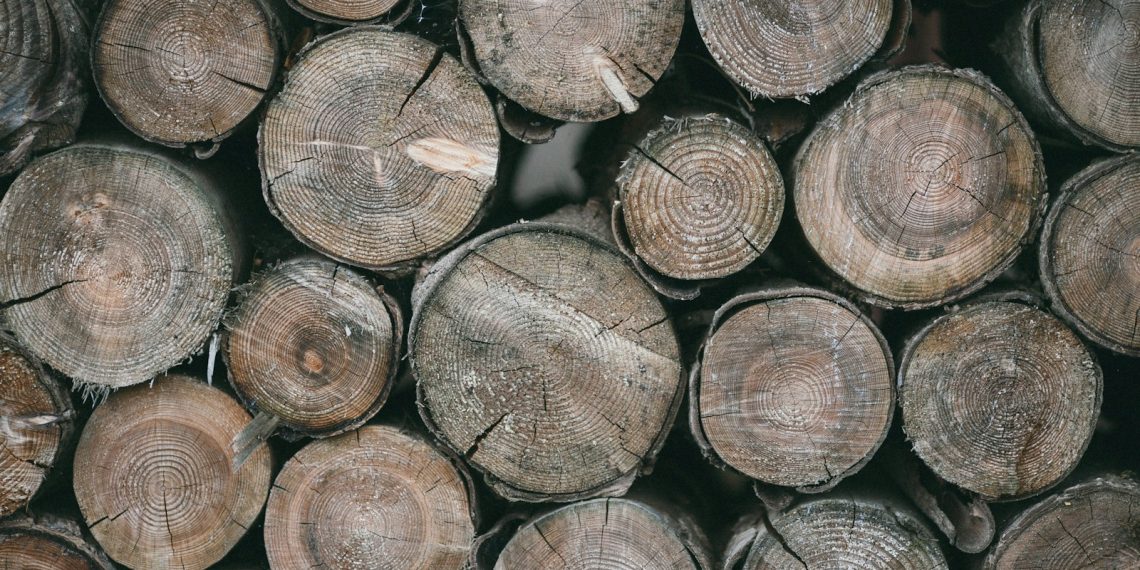 brown wood logs