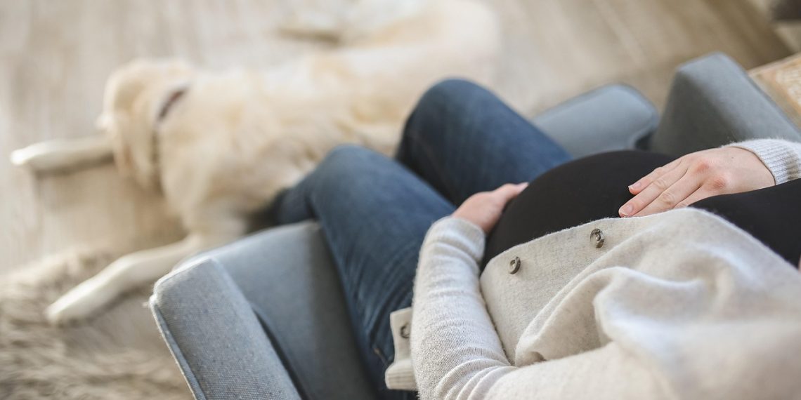 woman, pregnant, pregnancy, mom, mother, motherhood, belly, female, girl, sitting, closeup, pregnant, pregnant, pregnant, pregnant, pregnant, pregnancy, pregnancy, pregnancy, pregnancy