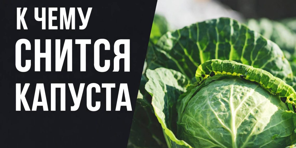 К чему снится капуста: символ достатка или хлопот?