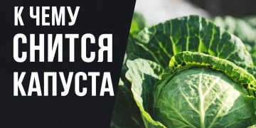 К чему снится капуста: символ достатка или хлопот?